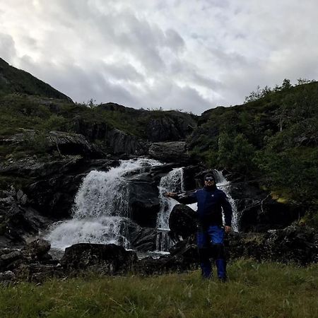 Gullesfjord Camping エクステリア 写真